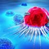 Availability of cancer drugs to ease