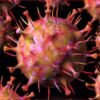 Coronavirus infection: 30 people infected in a week