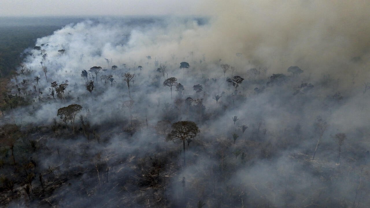 Brazil saw 79% jump in area burned by fires in 2024: monitor - Nepal Samaj