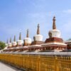 Central government approval is fundamental principle, legal safeguard of Grand Living Buddha reincarnation: signed article