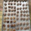 Industry established to manufacture millet biscuits