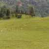 Dhimichour of Jumla turning attractive tourism destination