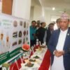 Govt should pay attention to millet production