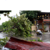 Typhoon Kajiki toll rises to five in Thailand