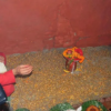 Bada Dashain kicks off with Ghatasthapana today