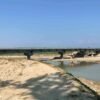 Construction of Doda River Bridge, 90 percent compete
