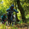 50 mountain bike racers participating in Int’l Mountain Bike Race
