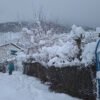 Heavy snowfall in Mustang, Humla and Bajura districts
