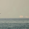 Oil prices rise after ships attacked near Strait of Hormuz