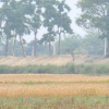 Raised embankment along bordering area by India heightens risk of inundation in Gaur
