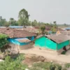 Even after eight years of ODF declaration, open defecation rife in Musahar settlement