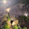 Dhrube, the rowdy elephant, tracked within CNP
