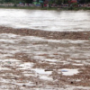 64 dead bodies recovered on Trishuli, Narayani riverbanks