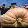 3,156-pound pumpkin grown in Rhode Island is inspected for possible world record
