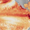 El Nino will intensify, then peak in December: UN