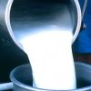 दूध बेचेर करोडौँ गाउँ भित्र्याउँदै बागलुङका किसान