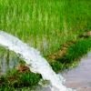 सिँचाइ गर्न विद्युत् सेवा विस्तार