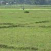स्थानीय तहले जग्गाको वर्गीकरण नगरिदिँदा काभ्रेमा जग्गाको कारोबार रोकियो