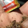 सुर्ती सेवनबाट २७ हजारको मृत्यु