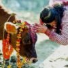कार्तिक शुक्ल प्रतिपदाः गोरु, गोवर्द्धन र हलि पूजा