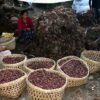 मेची भन्सारबाट दश अर्ब ७० करोड बढीको अलैँची निर्यात