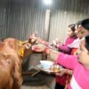 तिहारको पाँचौ दिन गाई पूजा गरिँदै
