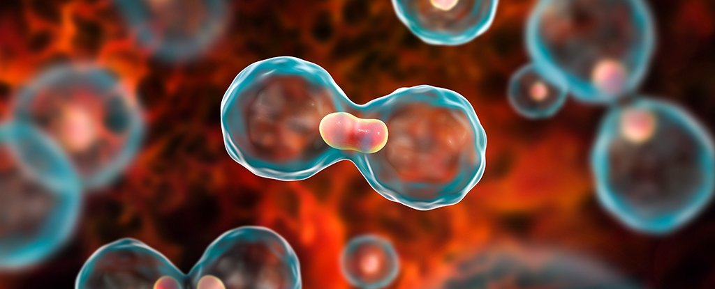 क्यान्सरबाट हरेक वर्ष दश लाखको मृत्यु