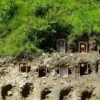 म्याग्दीमा व्यावसायिक अरिङ्गालपालन