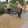 चैते धानको समर्थन मूल्य निर्धारण गर्न किसानको आग्रह
