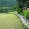 बाउन्न हेक्टरमा सिँचाइ सुविधा विस्तार
