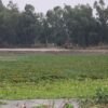 पाँच करोडको लगानीमा बन्धातालमा पूर्वाधार निर्माण गरिँदै