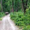 मानव–हात्ती द्वन्द्व न्यूनीकरणका लागि प्रशासनद्वारा सुरक्षा कार्ययोजना पुनरावलोकन