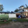 सय हेक्टरमा धानको बीउ उत्पादन गर्दै सहकारी