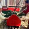 बाँझिएका बारीहरुमा उखुखेती