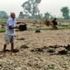 अधियाँ खेतीमै निर्भर छ भूमिहीन परिवार