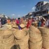 छठ पर्वमा चोयाको व्यापारले बजारमा नयाँ रौनक