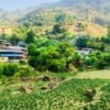 बागलुङमा १ अर्ब ९४ करोड ६० लाखको आलु उत्पादन