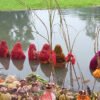 उदाउँदो सूर्यलाई अर्घ दिएसँगै सकियो छठ पर्व