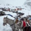 सगरमाथा नजिकै फसेका करिब हजार पर्वतारोहीको सकुशल उद्धार