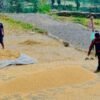 पर्वतमा ६५ करोडको कृषिजन्य वस्तुको कारोबार