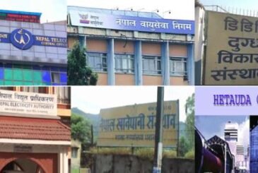सार्वजनिक संस्थान : २७ नाफा र १६ घाटामा सञ्चालित, दुई बन्द
