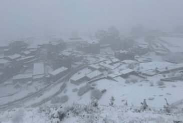 विपद्मा परी एक महिनामा १८ को मृत्यु, १२४ घाइते