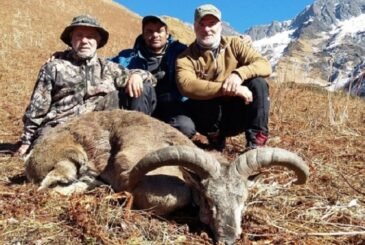 ढोरपाटनमा दोस्रो यामको सिकार सुरु