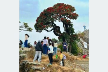 गुराँस हेर्न रायराँयकोट