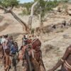 इथियोपियाको टिग्रेमा भोकमरीका कारण तीन बर्षमा एक हजार ३०० को मृत्यु