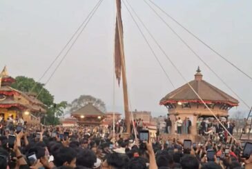 भक्तपुरको पचपन्न हाते लामो लिङ्गो ढाल्ने जात्रा सम्पन्न