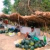 बगरमा पसिना, राजमार्गमा बजार, मुक्तकमैयाको फेरिएको दिनचर्या