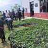 महाभारतमा सात हजार कफीका बिरुवा वितरण