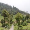 सोलेडाँडामा ‘जडीबुटी पार्क’