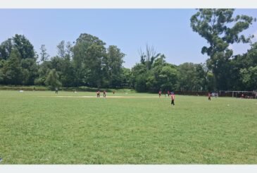 एचसिए सुवर्णशमशेर स्मृति क्रिकेट लिग प्रतियोगितामा हिमालयन, पल्सर सिइसी र डिएभीको जित